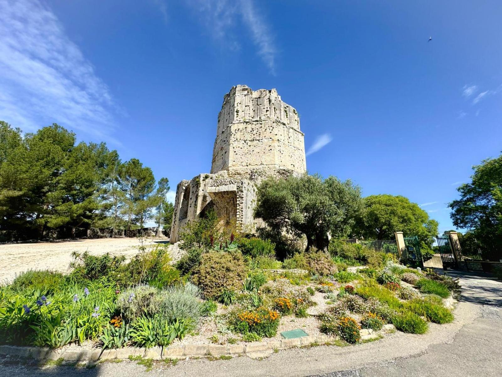 Au Coeur Du Centre Historique - Immeuble Classe - Terrasse - Climatise Nîmes Kültér fotó
